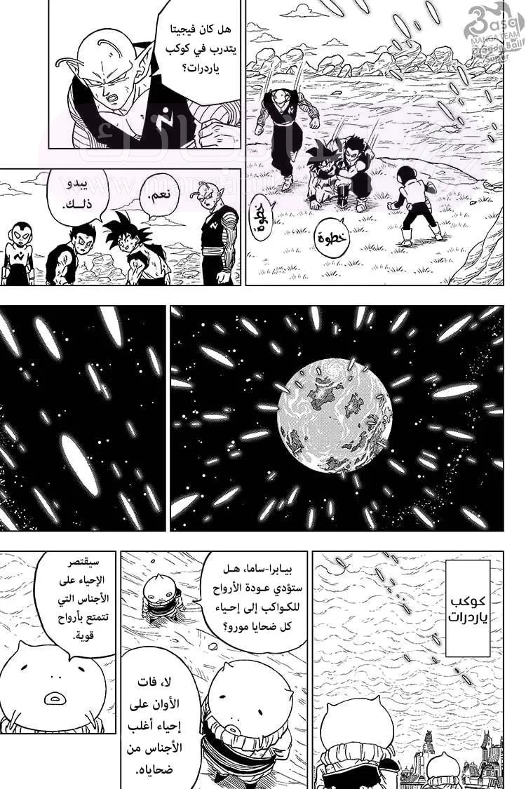 الصفحة 26