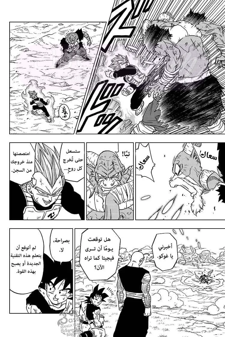 الصفحة 29