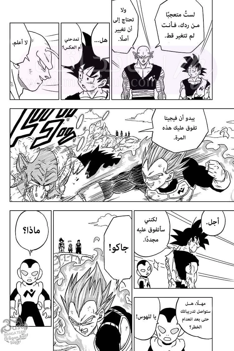 الصفحة 31