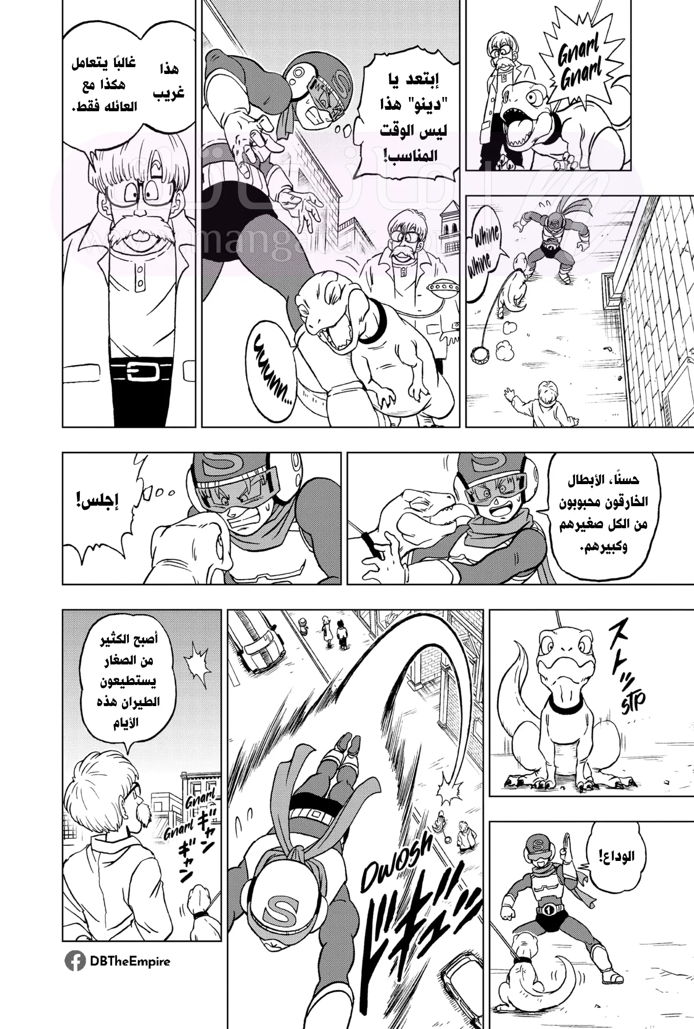 الصفحة 13