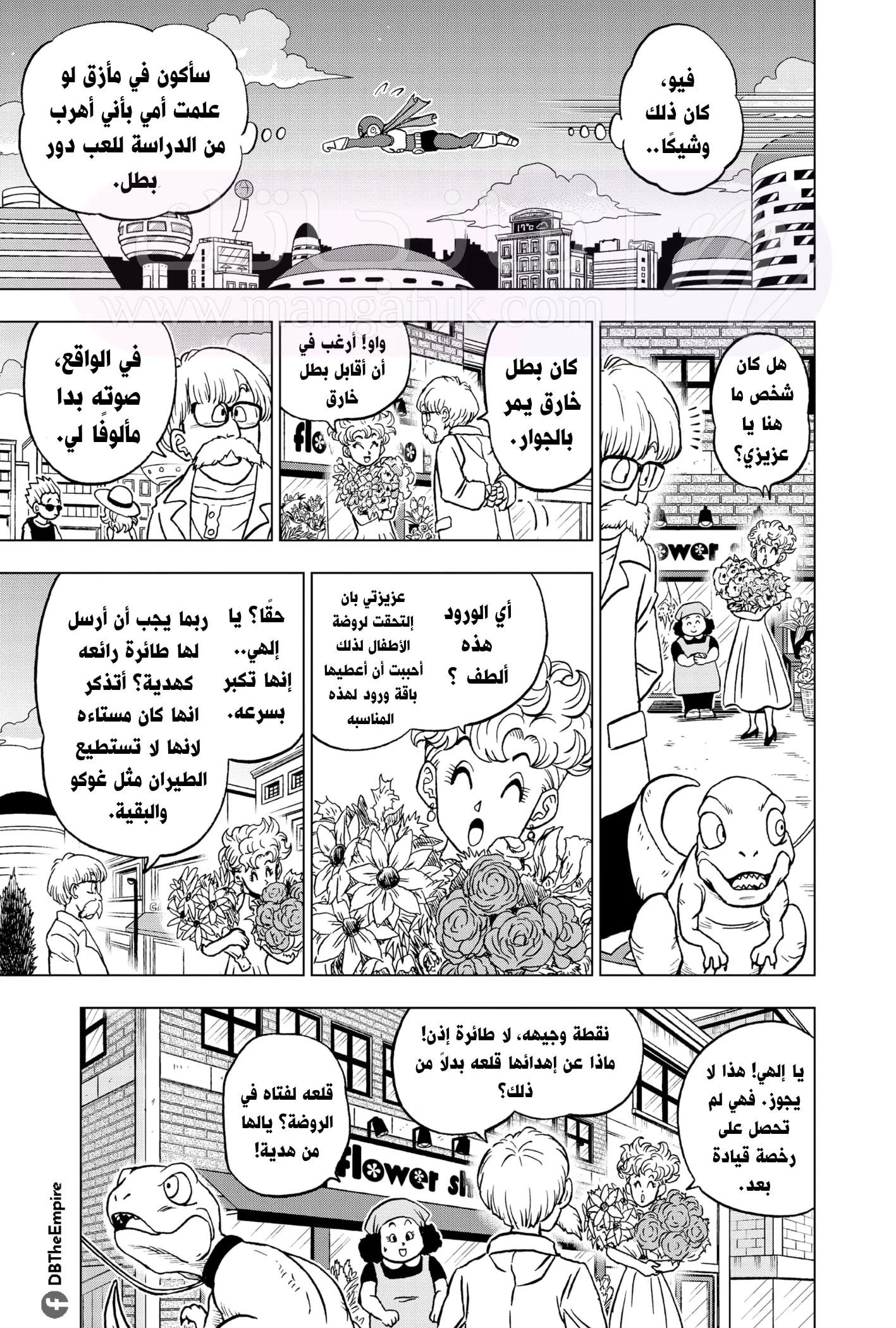 الصفحة 14