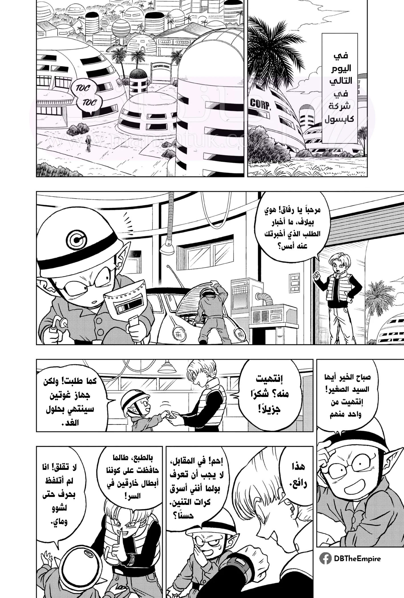 الصفحة 17