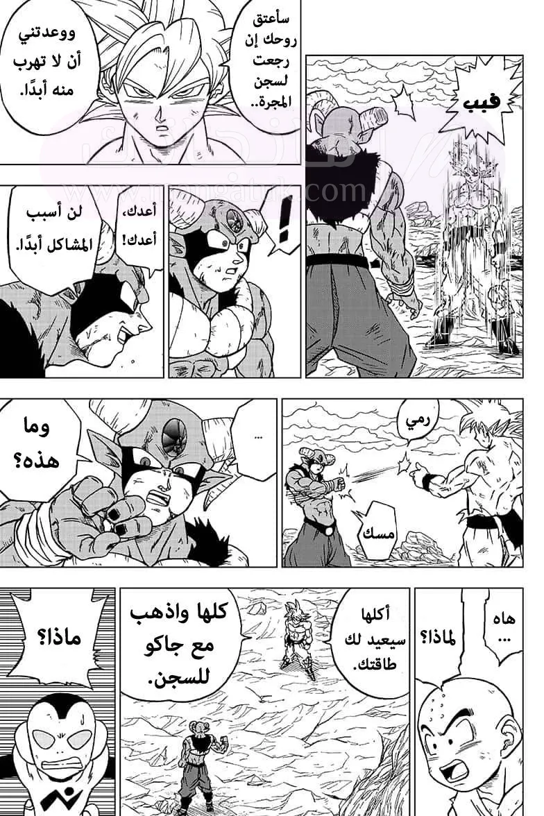 الصفحة 5