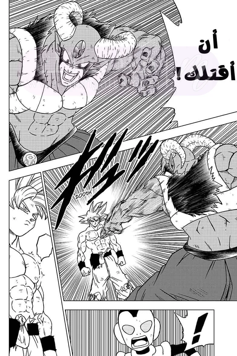 الصفحة 8