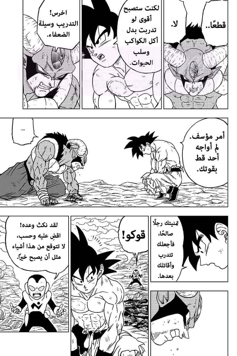 الصفحة 11