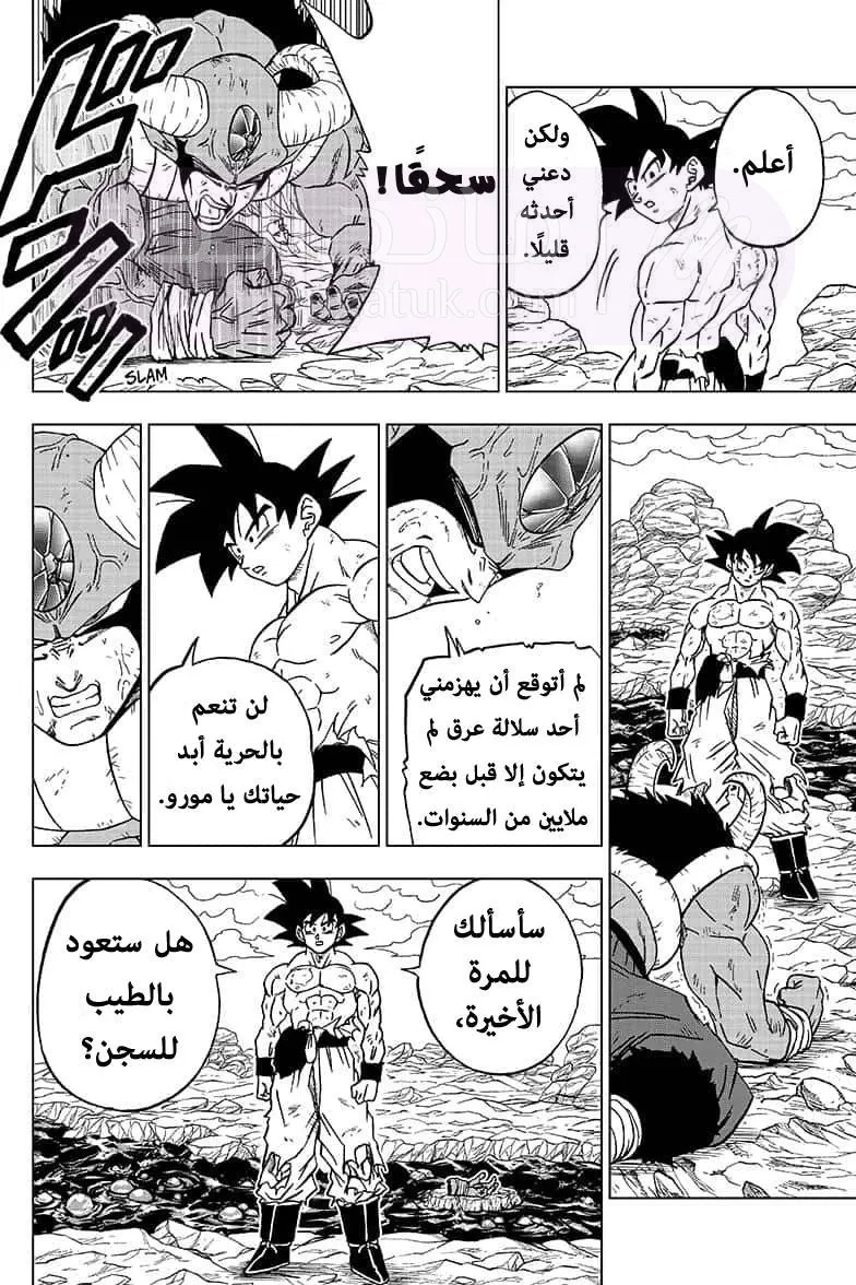 الصفحة 12