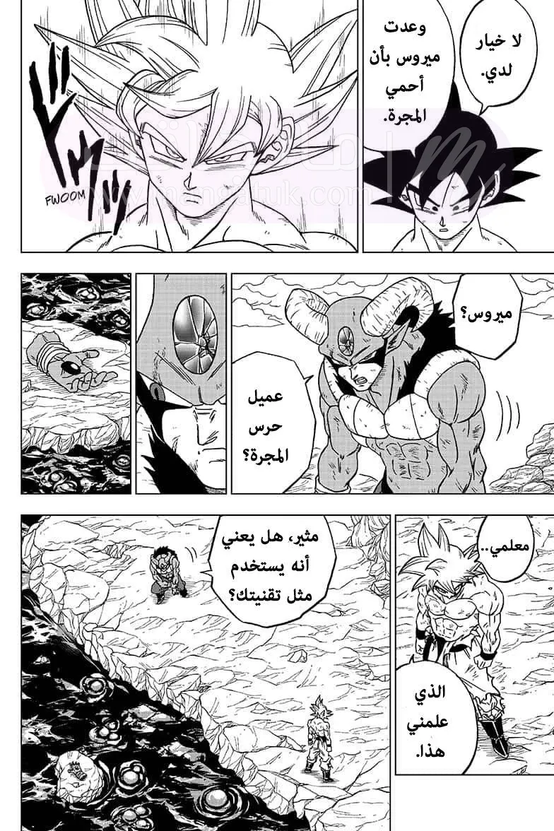 الصفحة 14