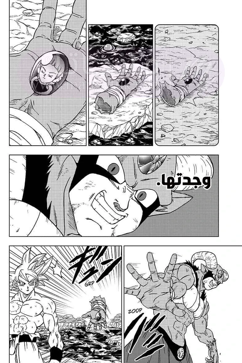 الصفحة 16
