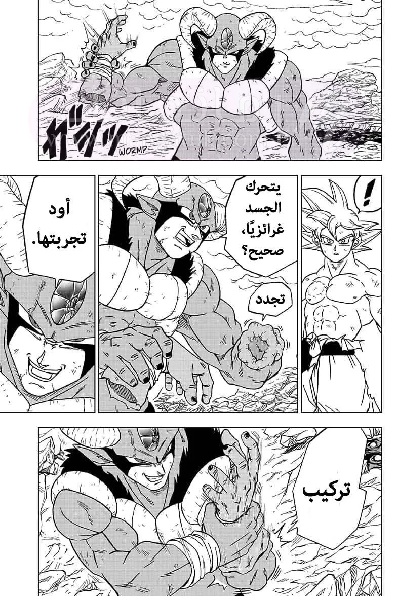 الصفحة 17