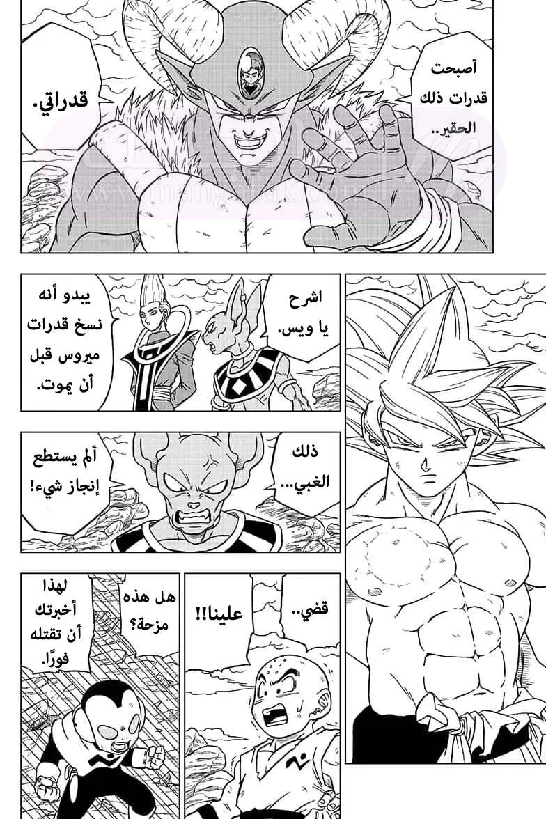 الصفحة 20