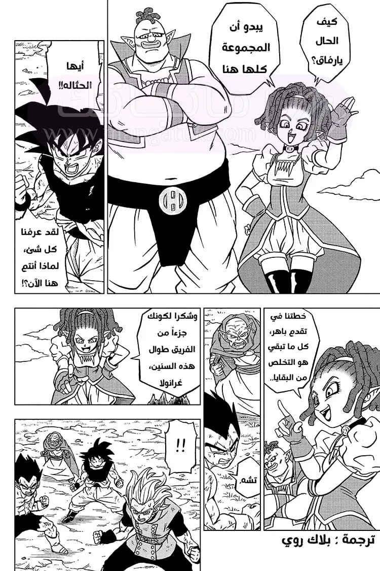 الصفحة 10
