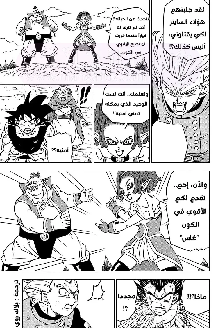 الصفحة 11