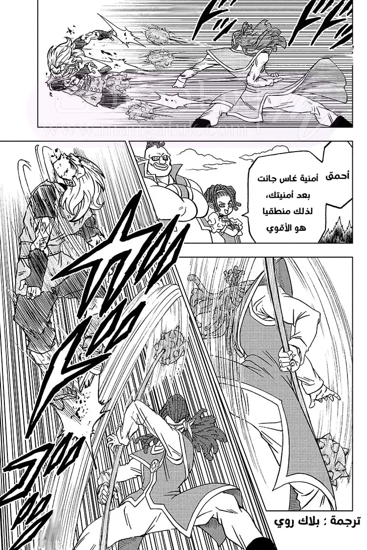 الصفحة 25