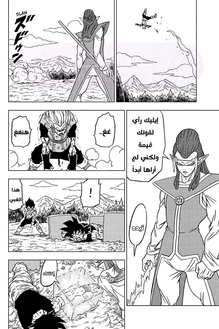 الصفحة 26