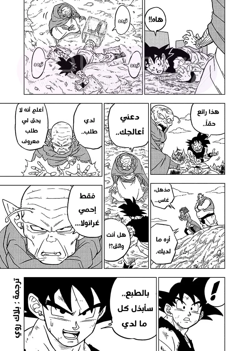 الصفحة 27