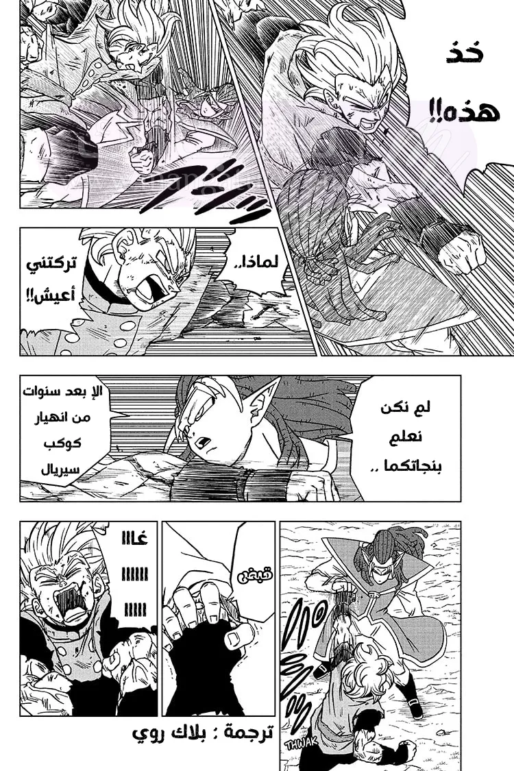 الصفحة 28