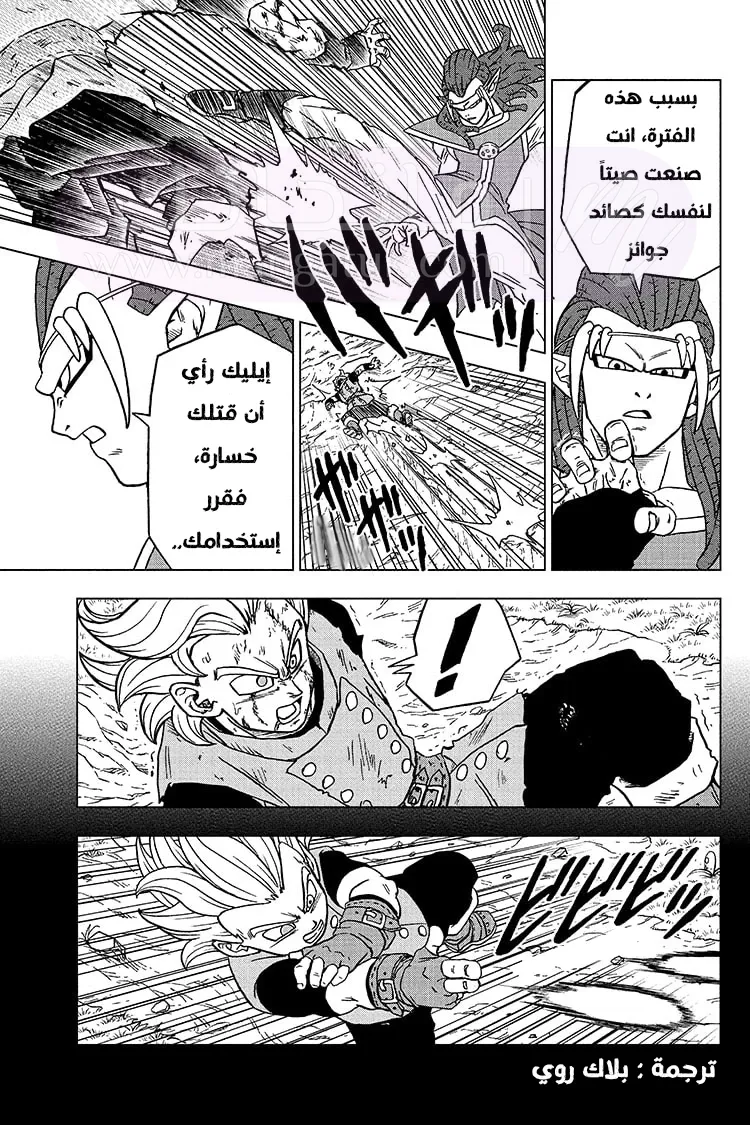 الصفحة 29