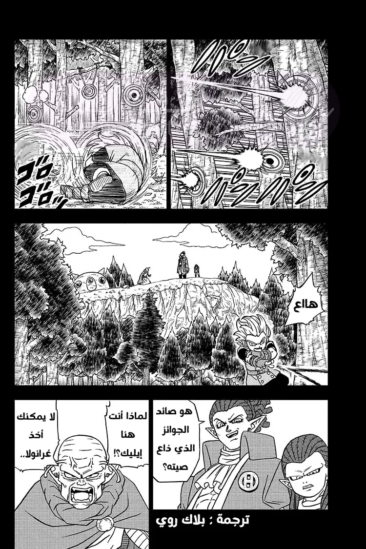 الصفحة 30