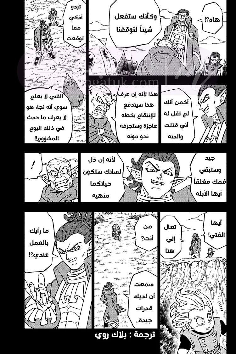 الصفحة 31