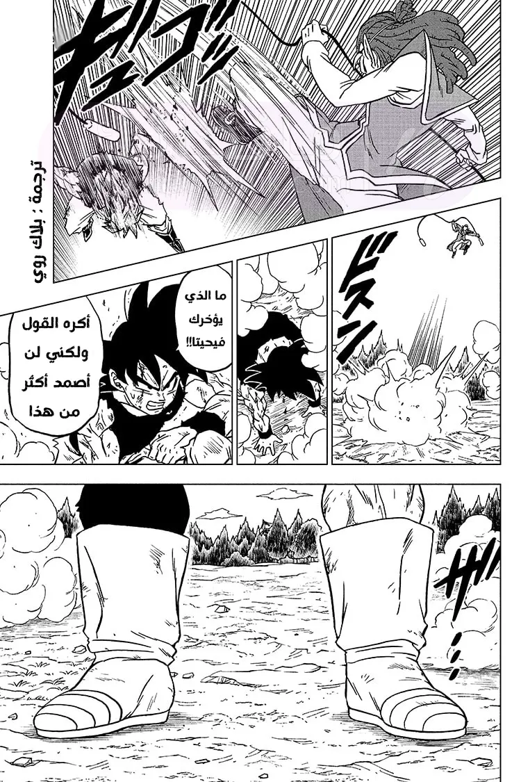 الصفحة 43