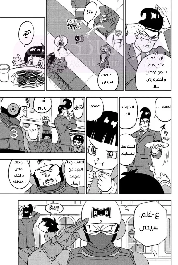 الصفحة 11