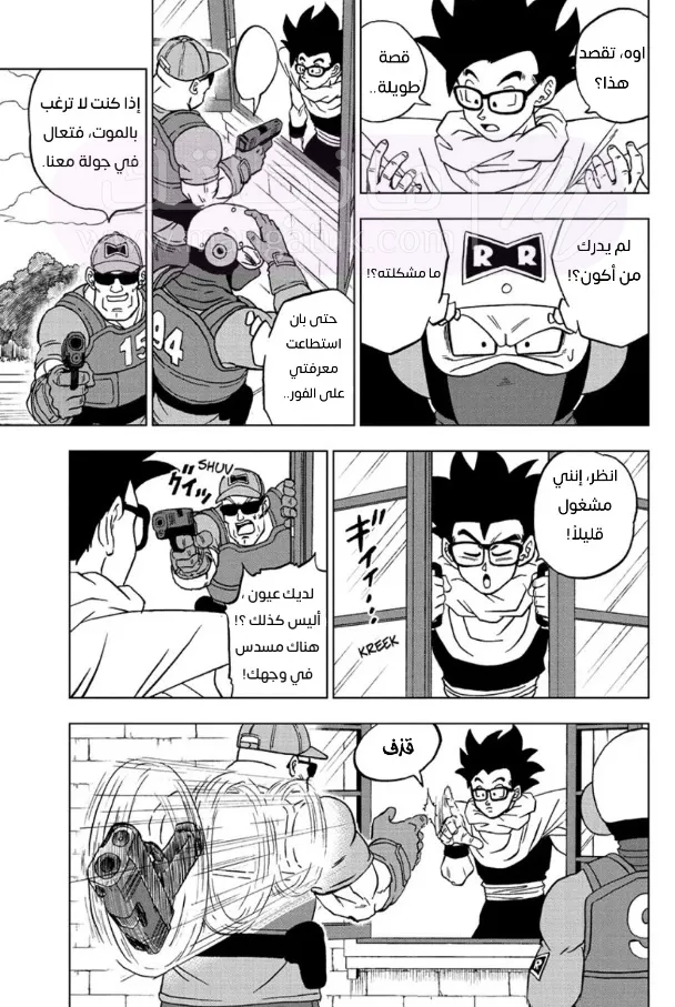 الصفحة 13