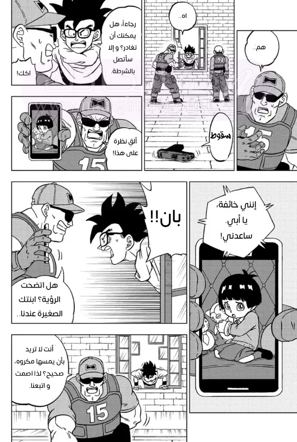 الصفحة 14