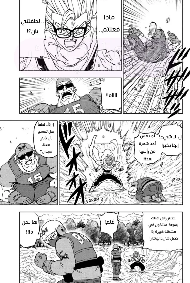 الصفحة 17