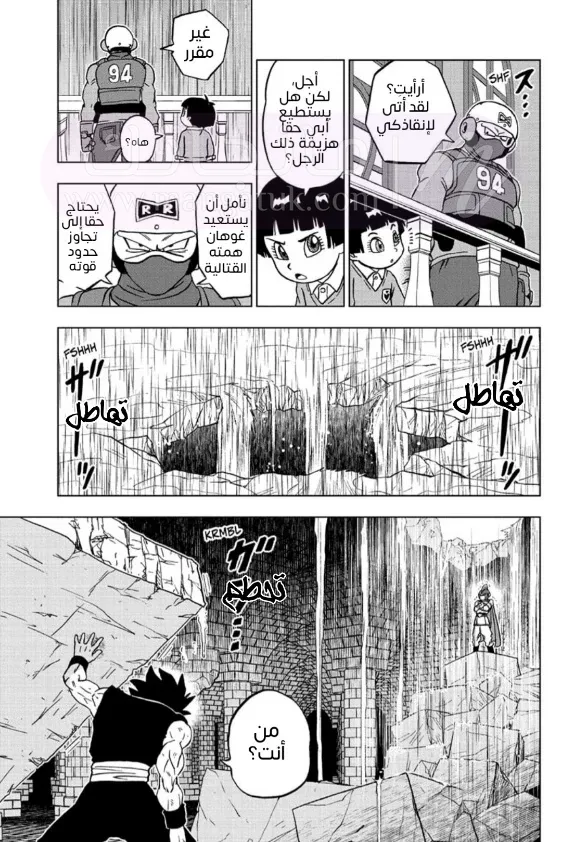 الصفحة 29