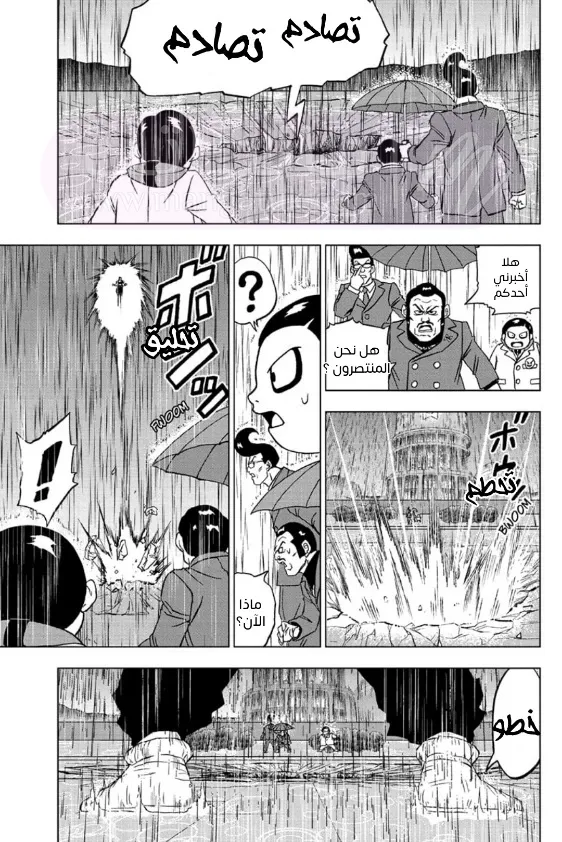 الصفحة 33