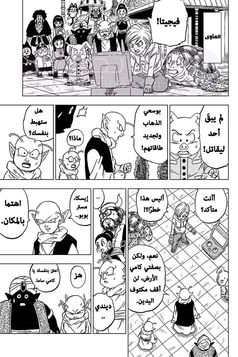 الصفحة 13