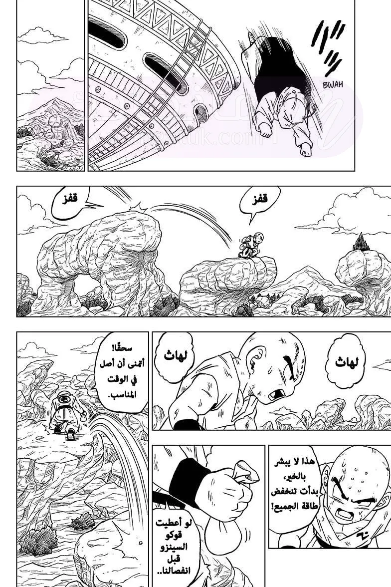الصفحة 14