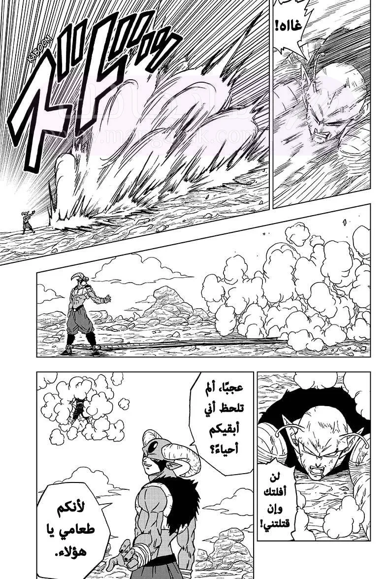 الصفحة 19