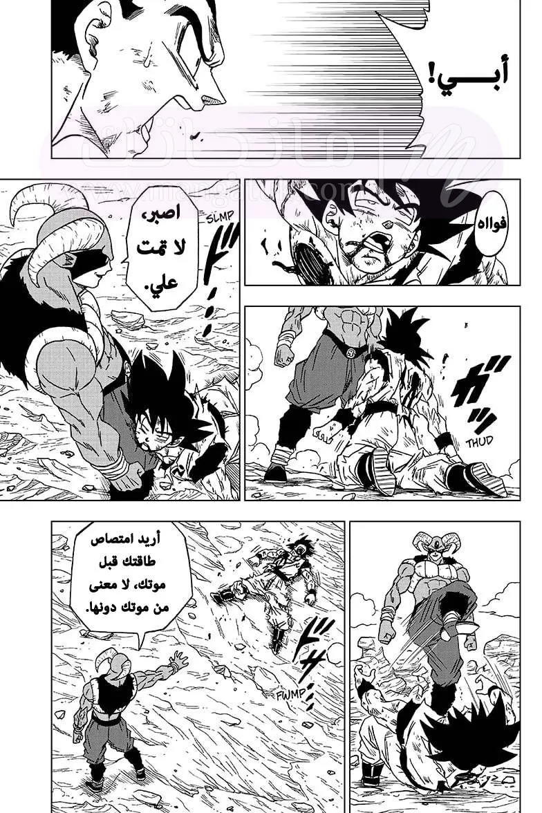 الصفحة 27