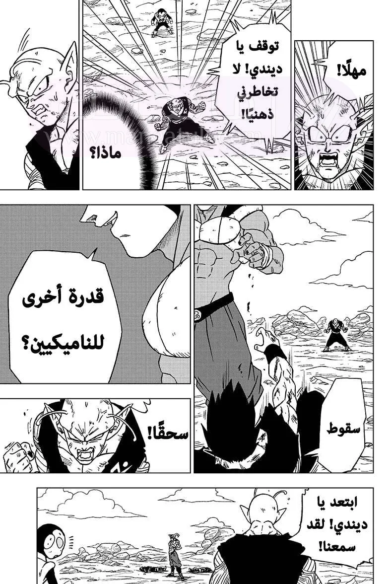 الصفحة 31