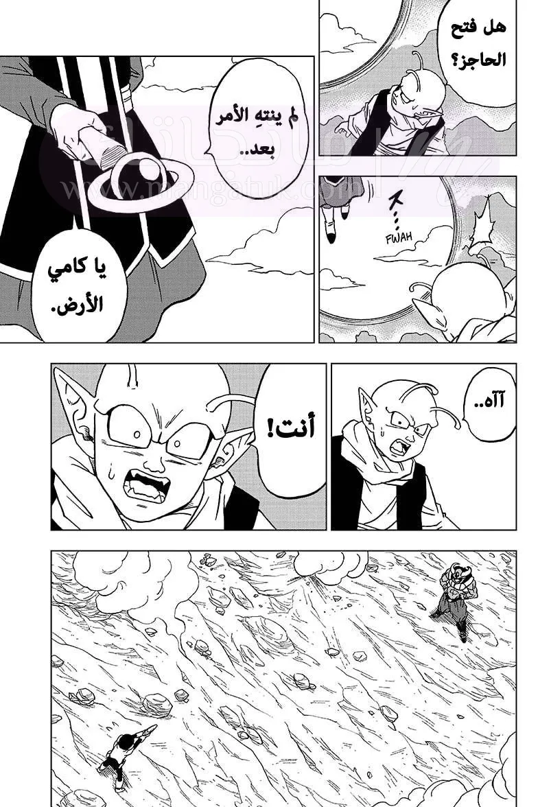 الصفحة 41