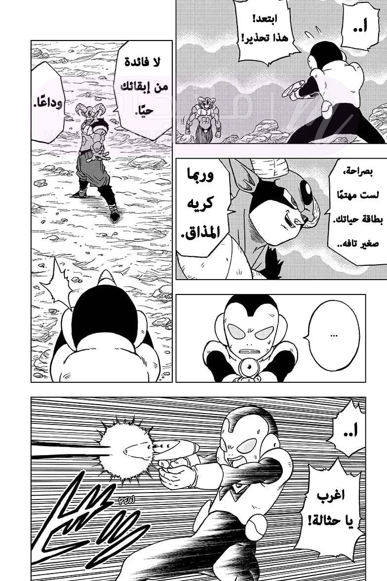 الصفحة 42