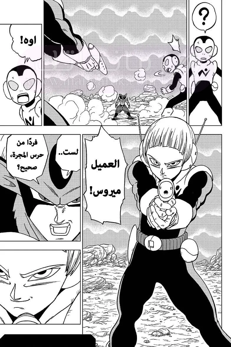 الصفحة 45