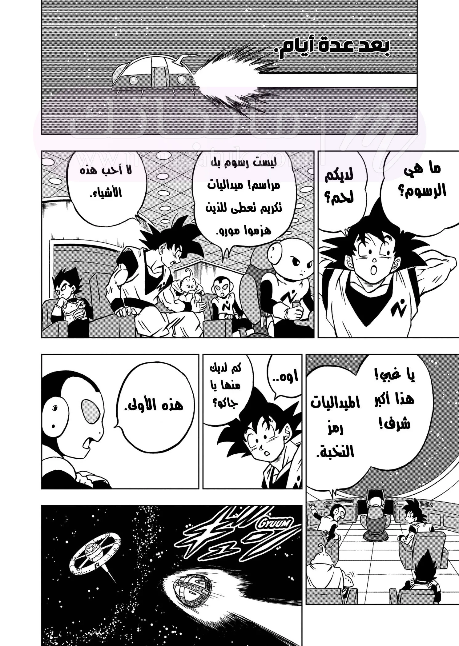 الصفحة 11