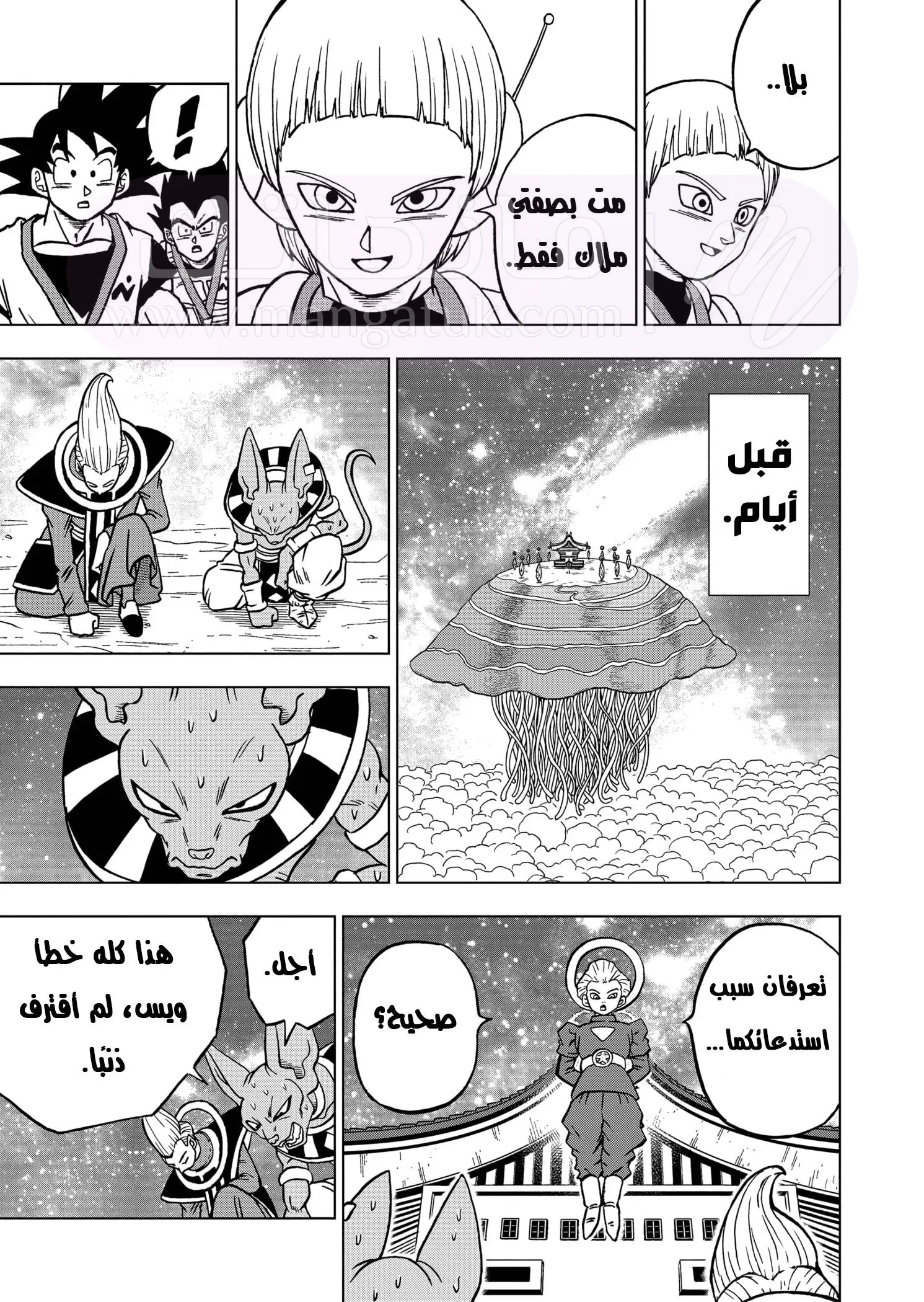 الصفحة 16