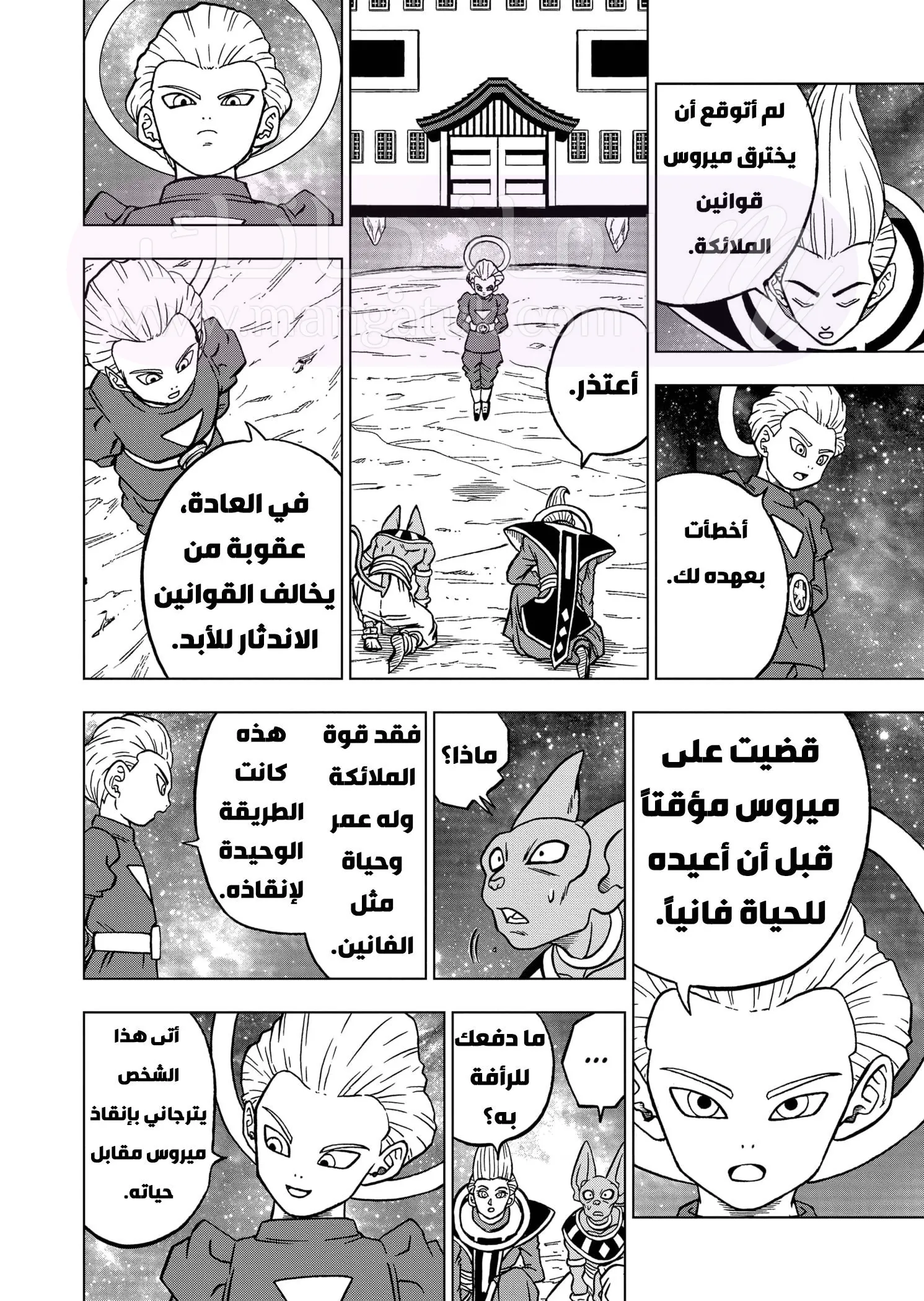 الصفحة 17