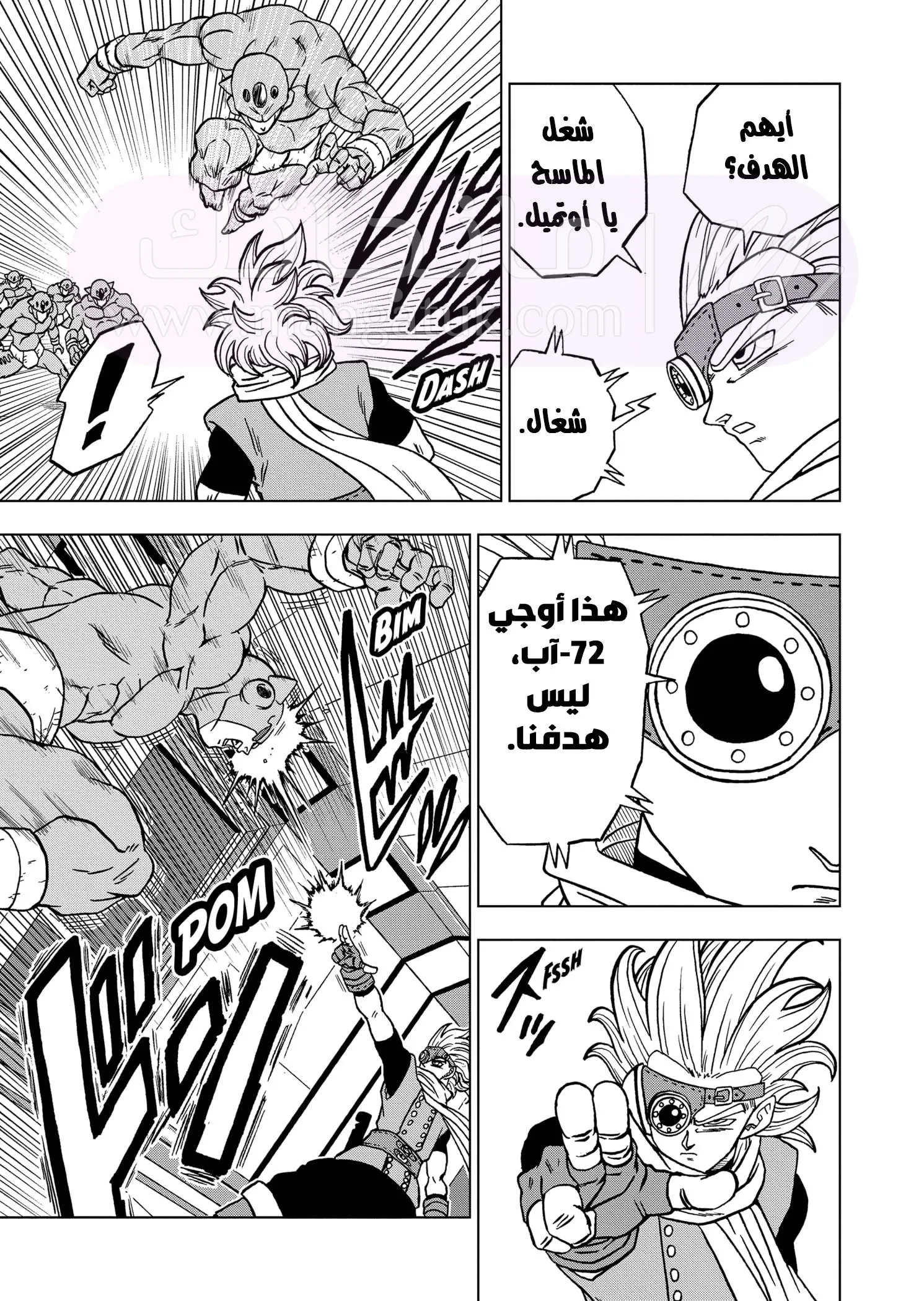 الصفحة 43