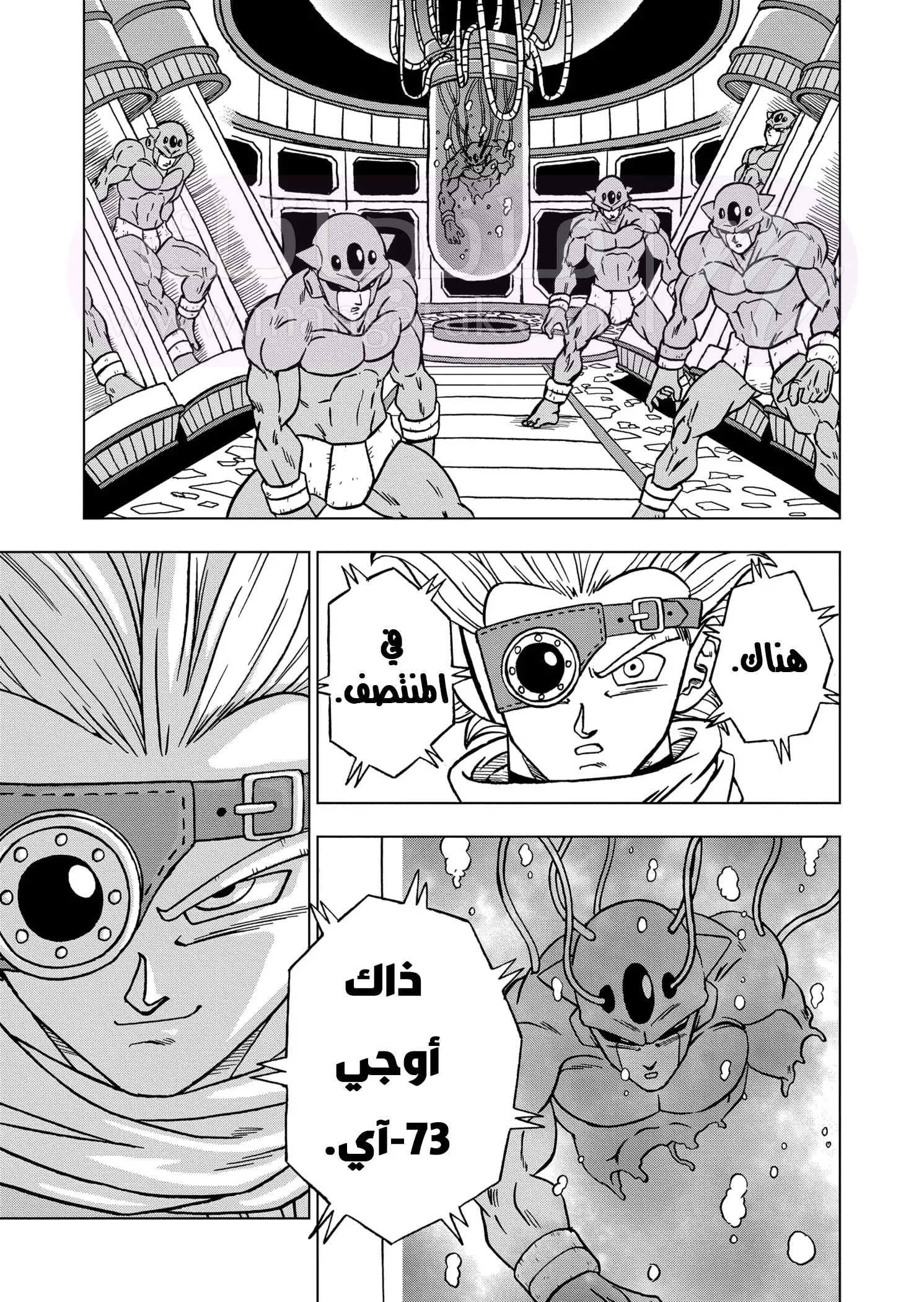 الصفحة 47