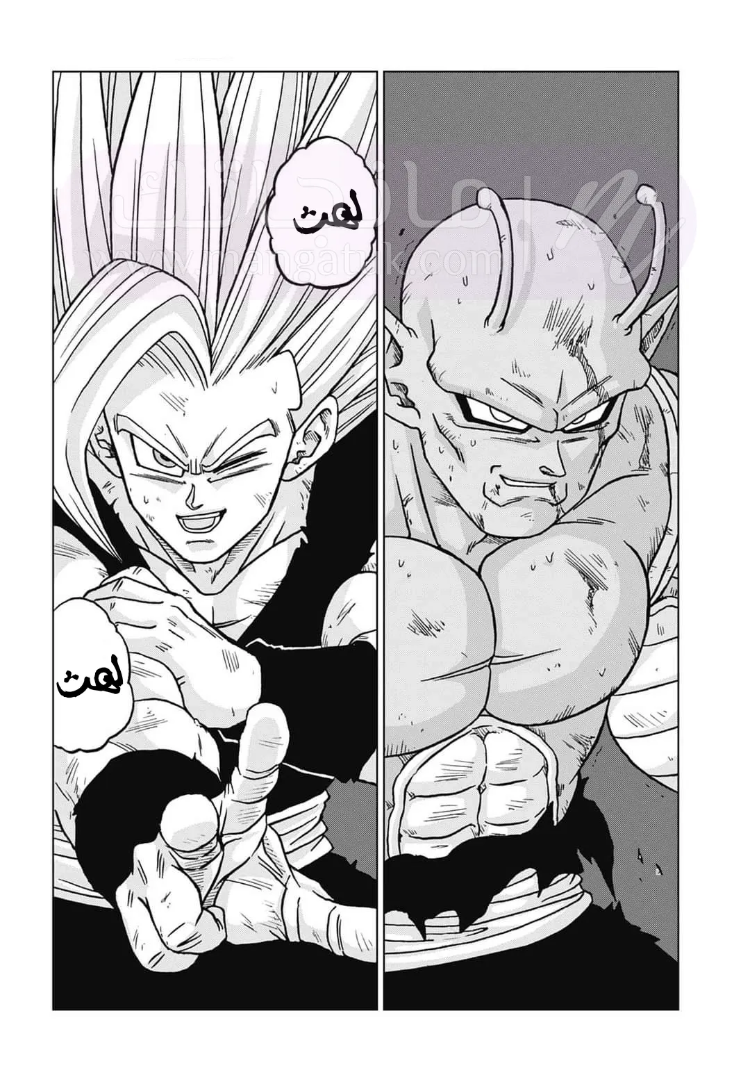 الصفحة 12