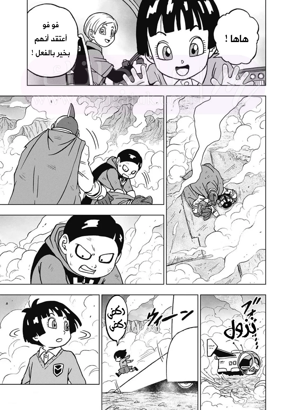 الصفحة 17