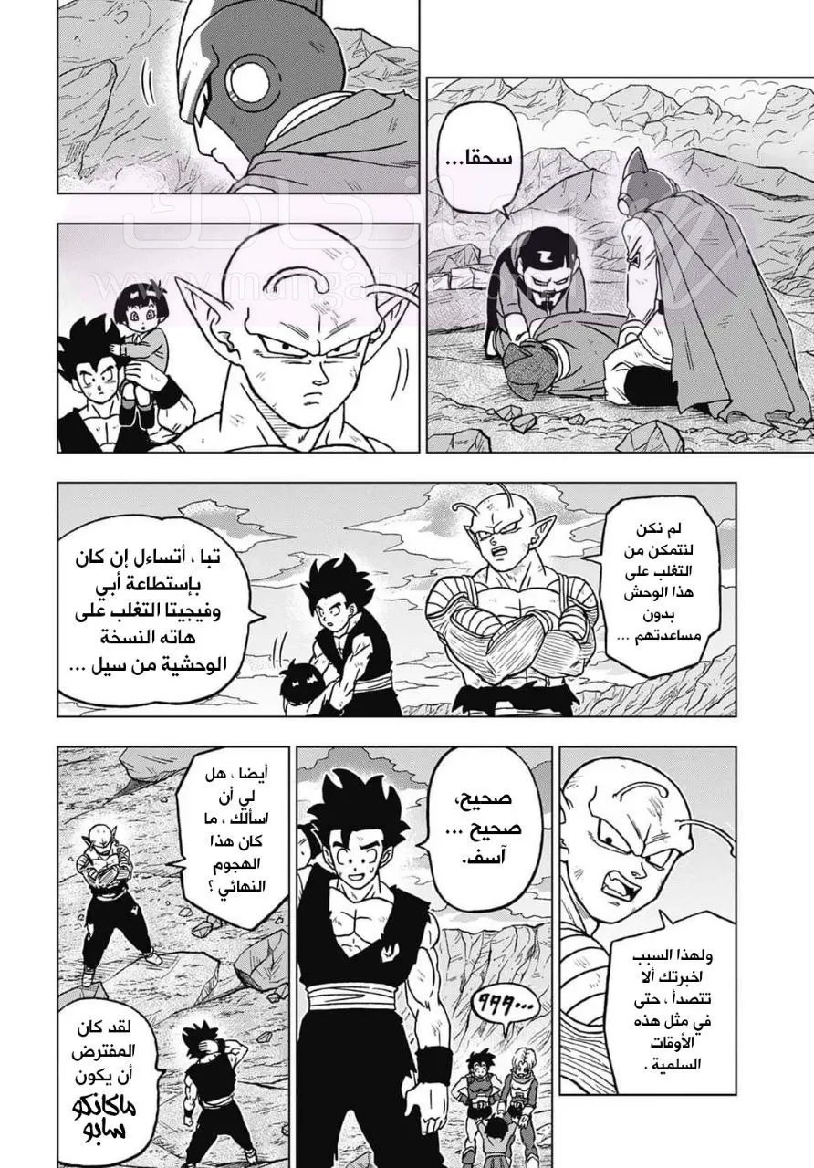 الصفحة 20