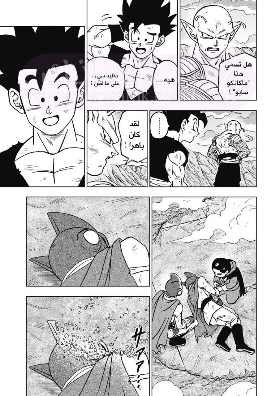 الصفحة 21