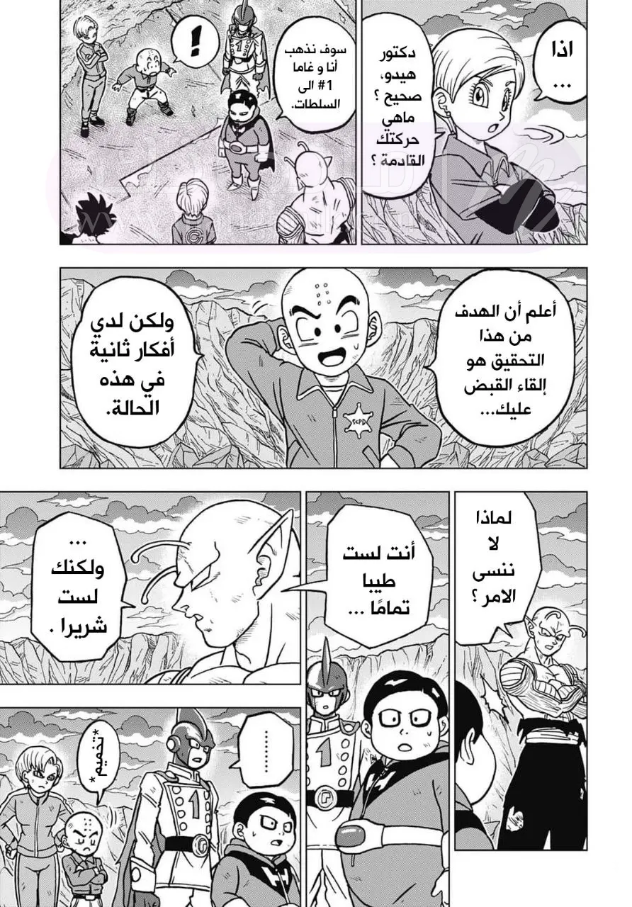 الصفحة 25