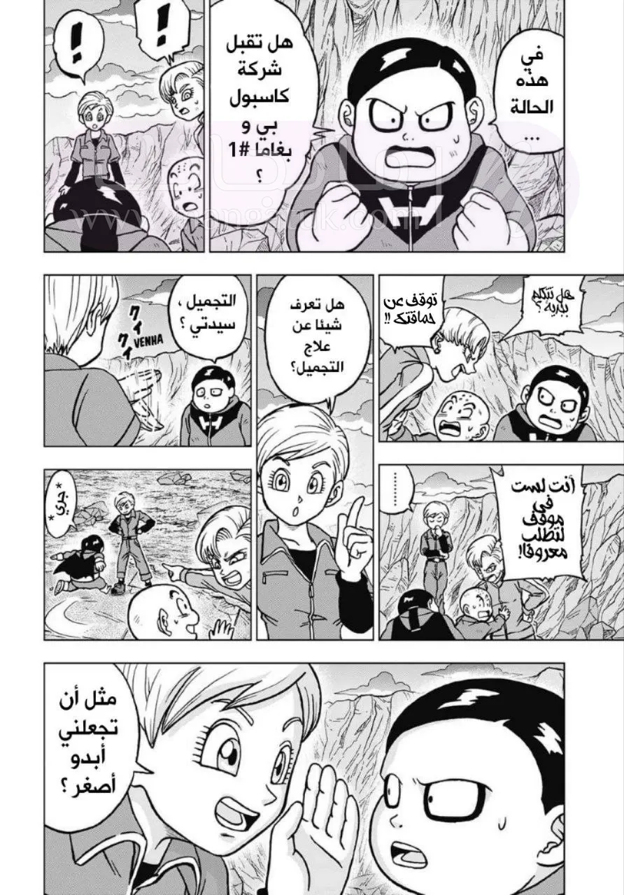 الصفحة 26