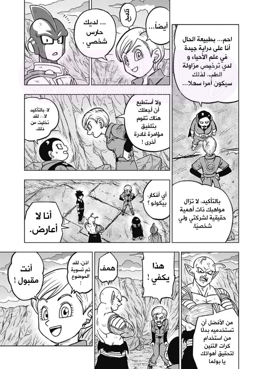 الصفحة 27